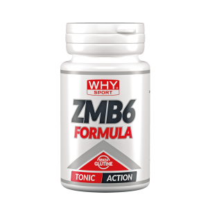 ZMB6 Formula 90 cpr